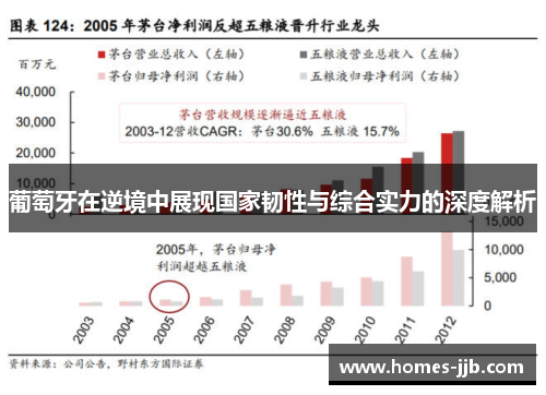 葡萄牙在逆境中展现国家韧性与综合实力的深度解析